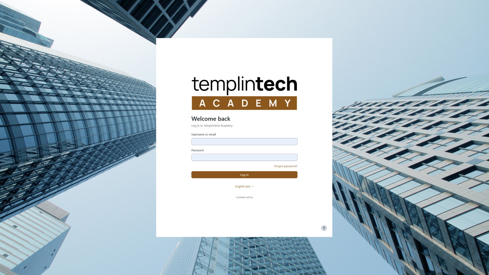 Lecturers and Mentors in Digital Transformation | TemplinTech Academy